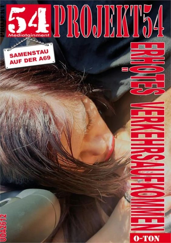 Samenstau auf der A69